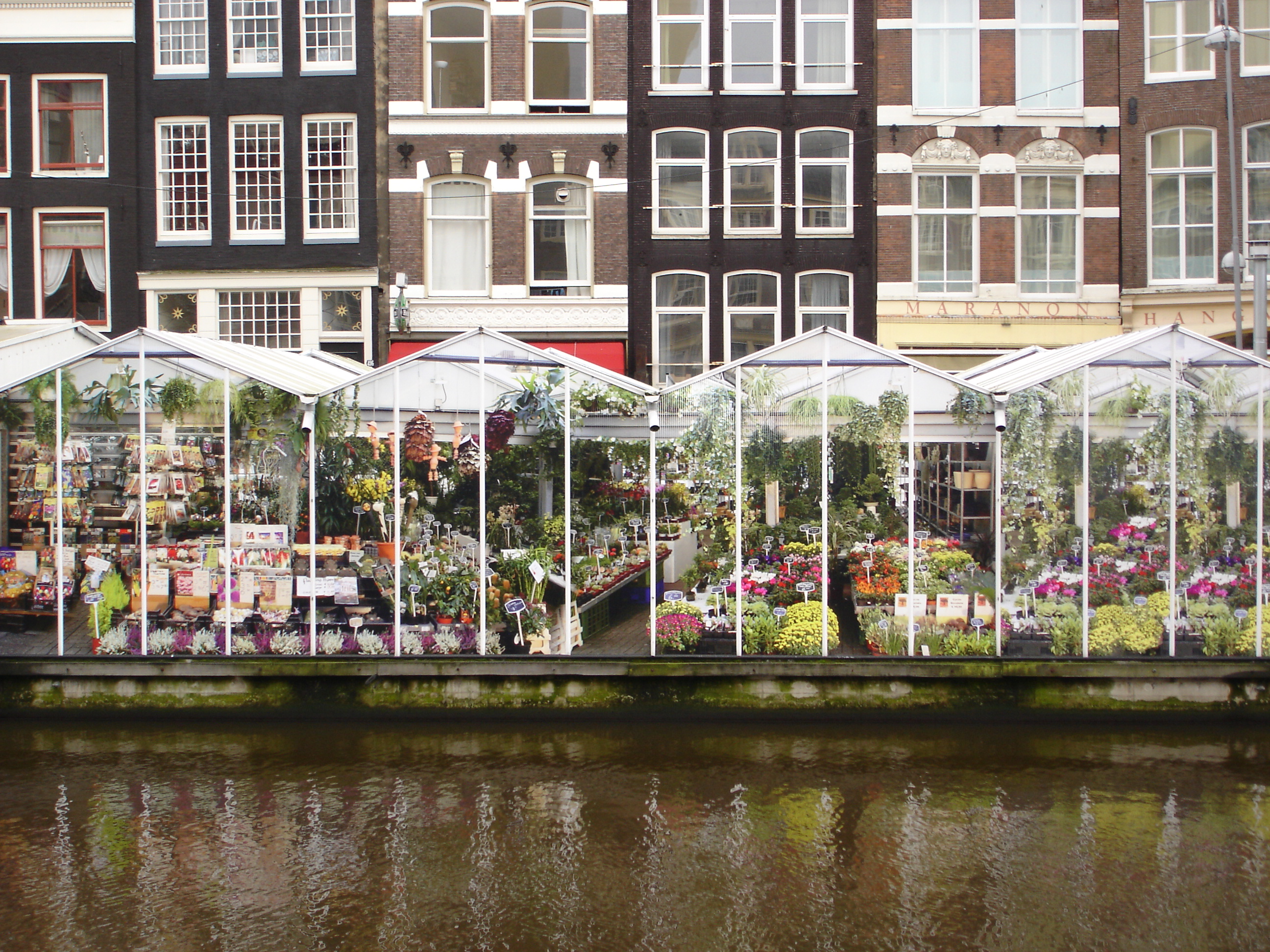 Advocaat Procesrecht - Office Hong Kong in Amsterdam en Naarden